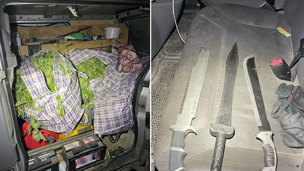 Two images show the inside of the van with bags containing cannabis plants and three machetes