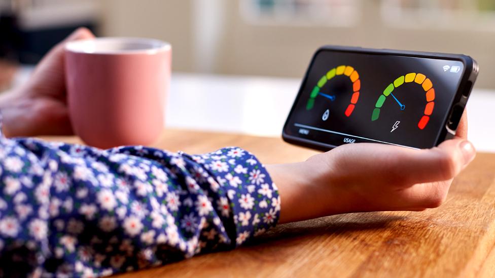 A woman reads a smart meter on her phone