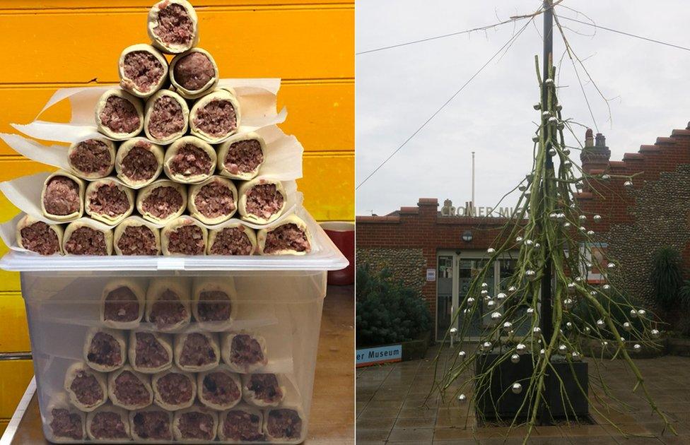 Sausage roll tree and the tree outside Cromer Museum