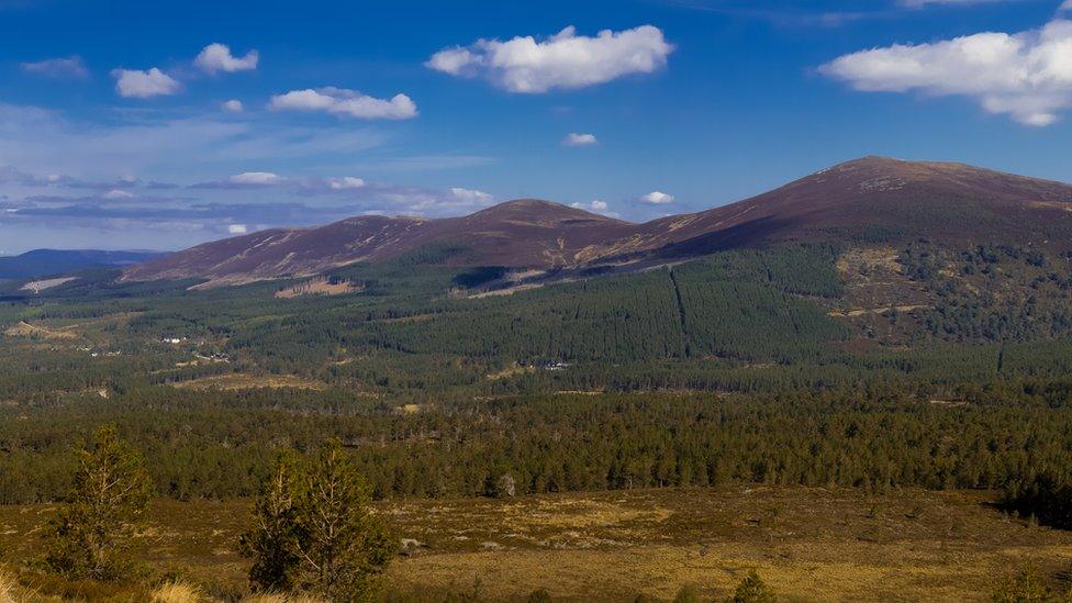 Carn Gorm