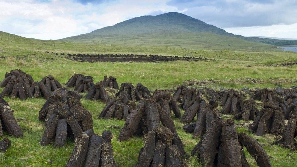 Peat Bog in Connemara, County Galway