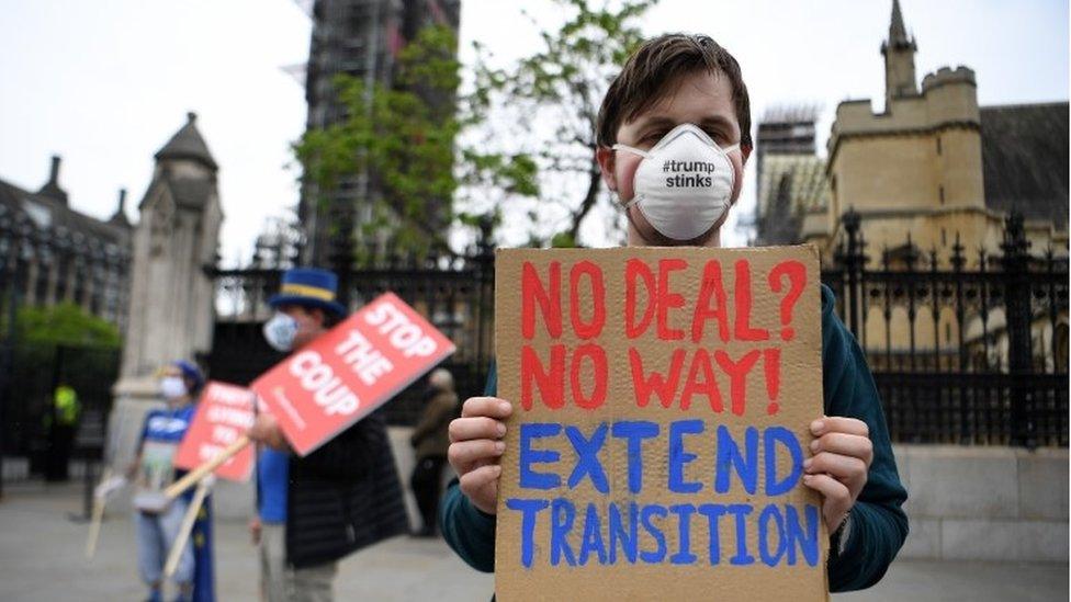 anti-brexit protester in London