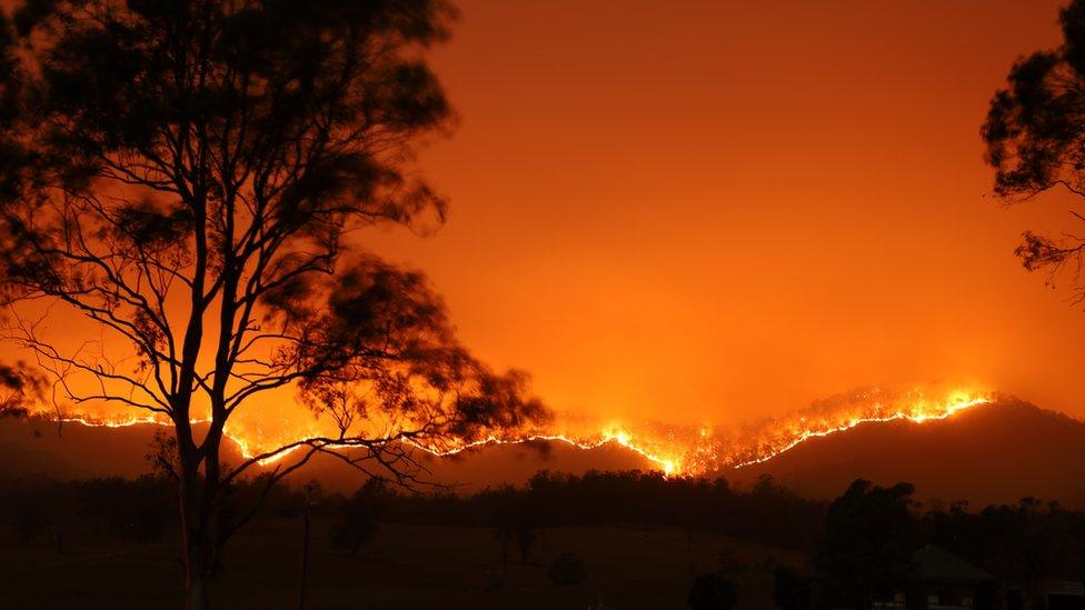 australia-wildfires.