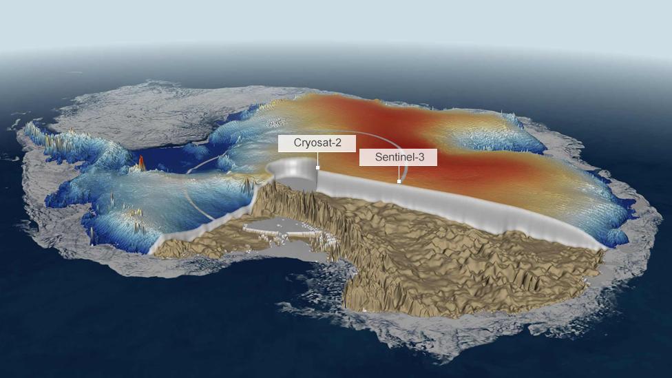 Graphic of polar data