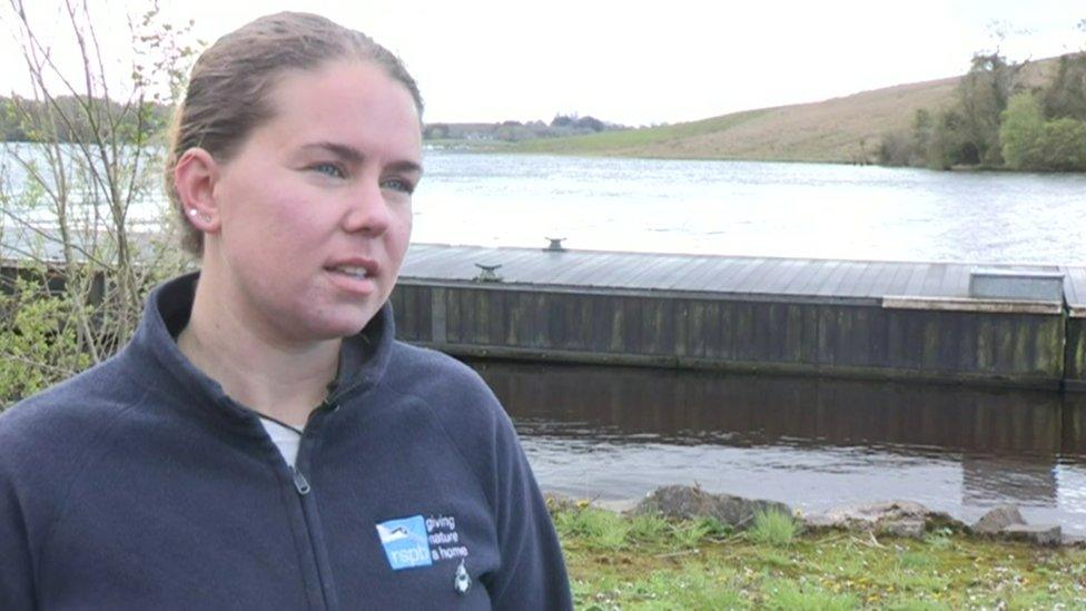 RSPB warden Amy Burns