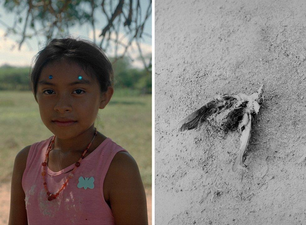 A portrait of a young girl is paired with a black and white picture if a dead bird on dusty ground