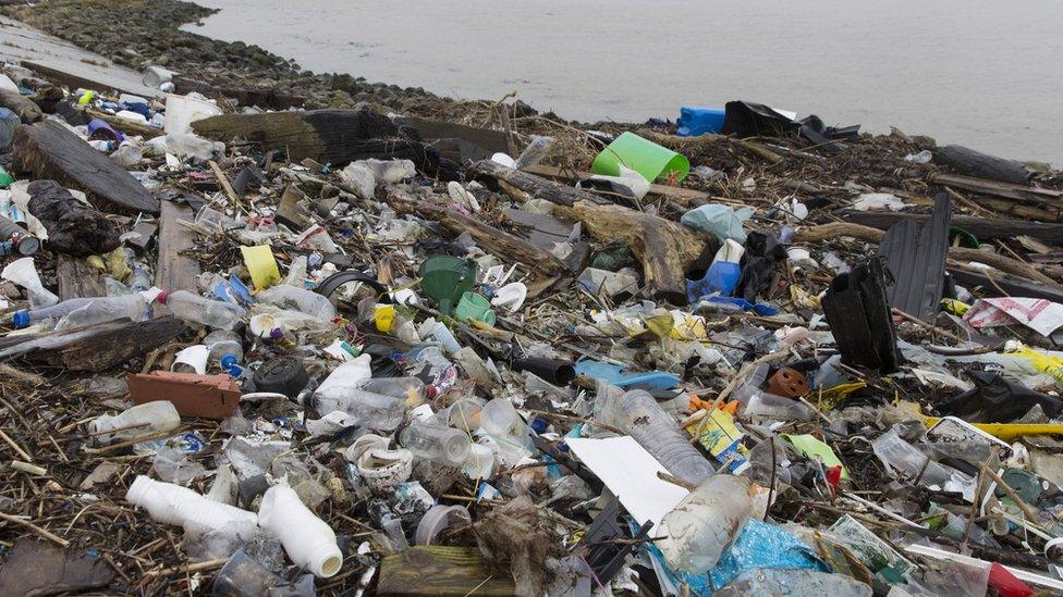 plastic waste on the Kent Coast