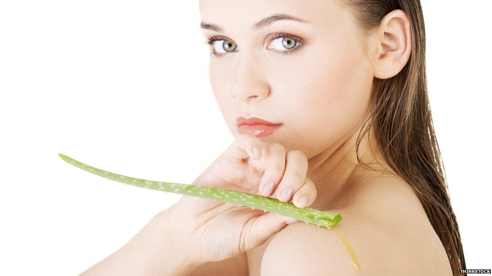 Is Aloe Vera the answer to curing sun burn?