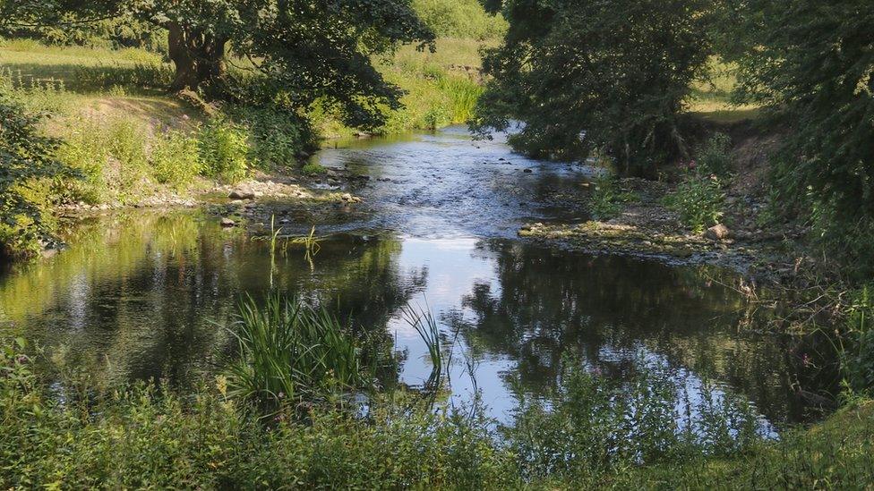 River Skerne at Barmpton