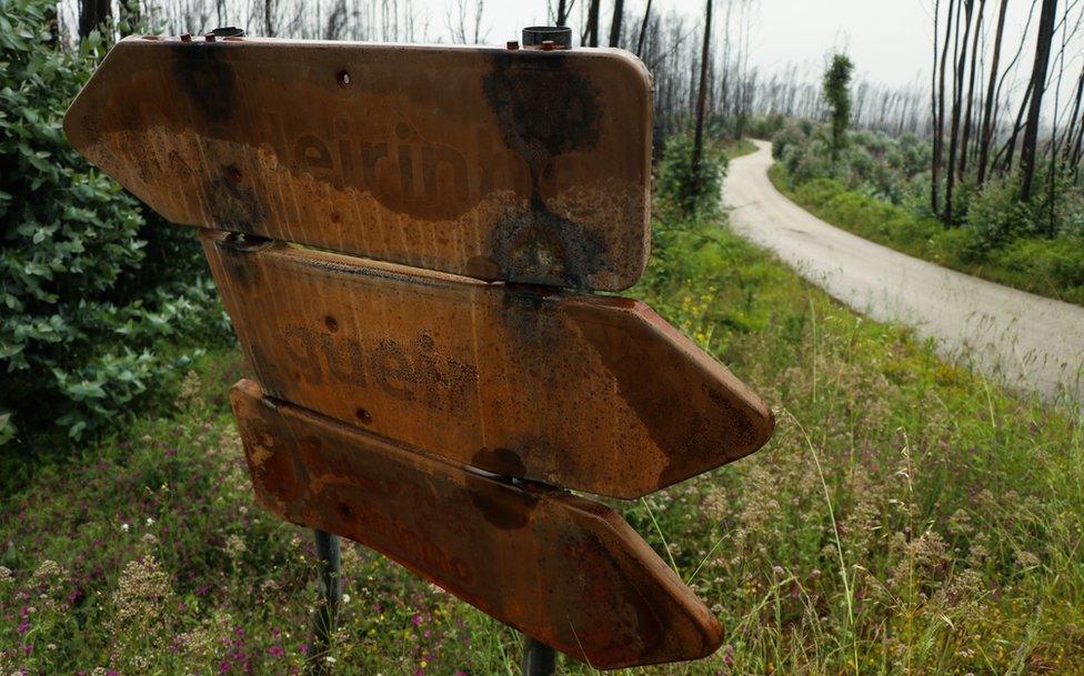 Charred road signs in Pedrógão Grande betray the traumatic events of a year ago