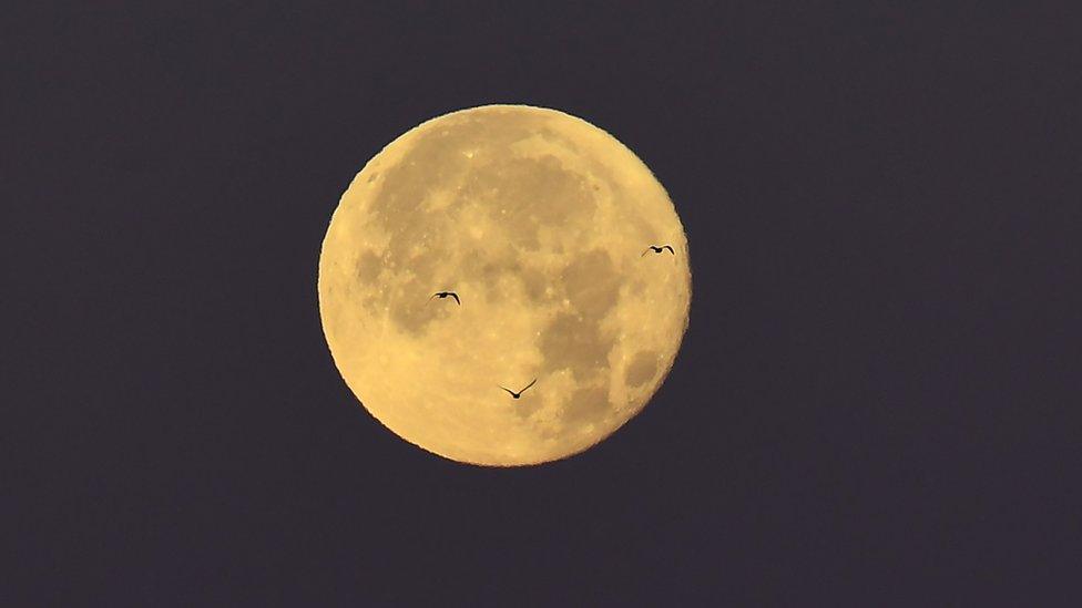 Supermoon seen above Marseille