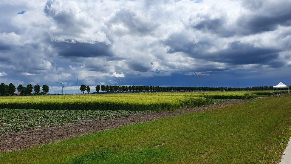 Field at Wageningen