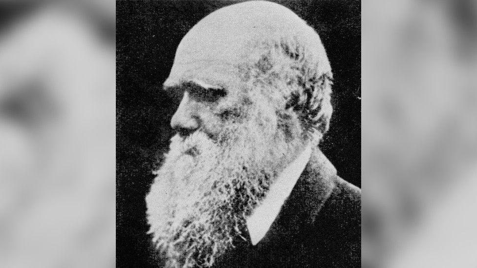 An old black and white photo of Charles Darwin - an old man with a long grey beard and a mostly bald head - from the side. The white collar of his shirt can be seen sticking out of his dark jacket.