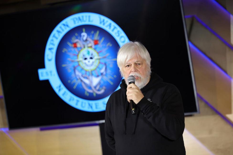 Paul Watson Veteran antiwhaling activist arrested in Greenland BBC News