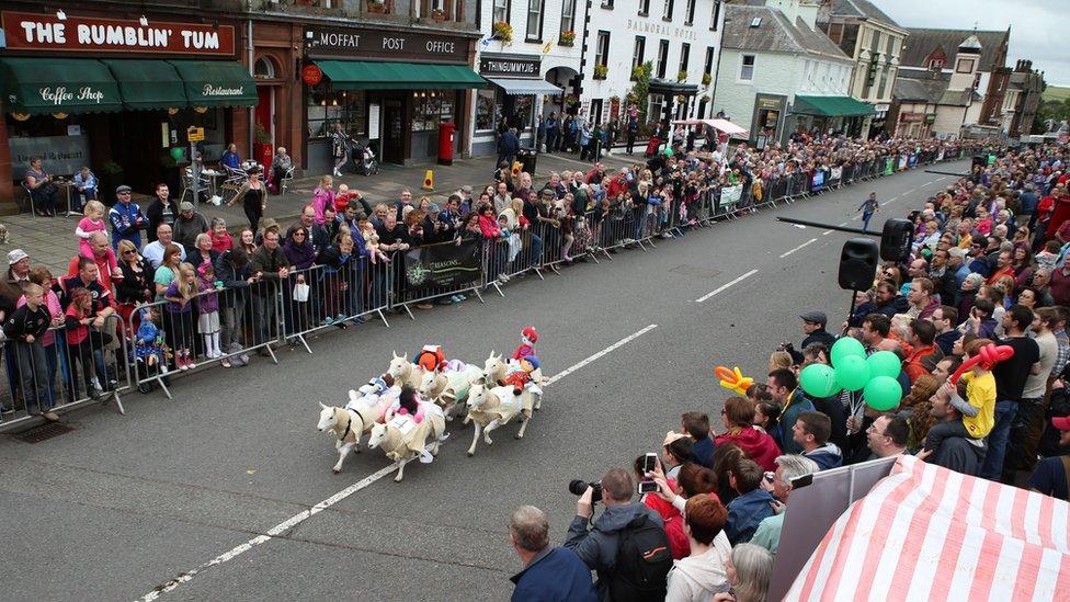 Moffat sheep racing