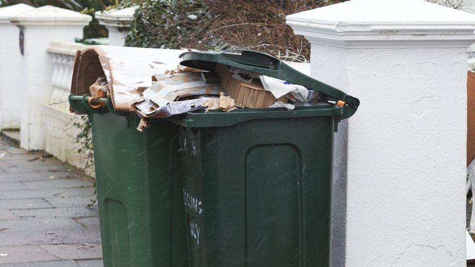 Two full bins on the pavement