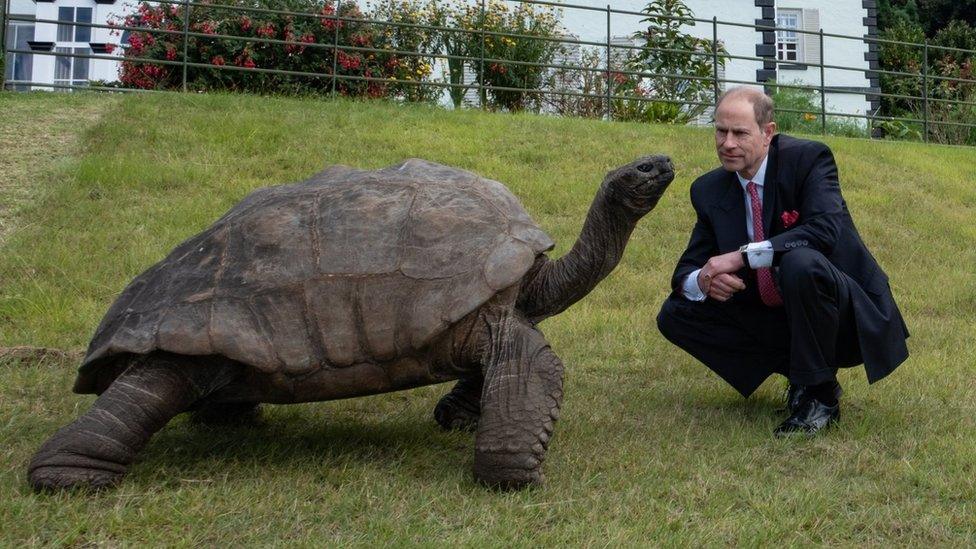 jonathan the tortoise meets prince andrew