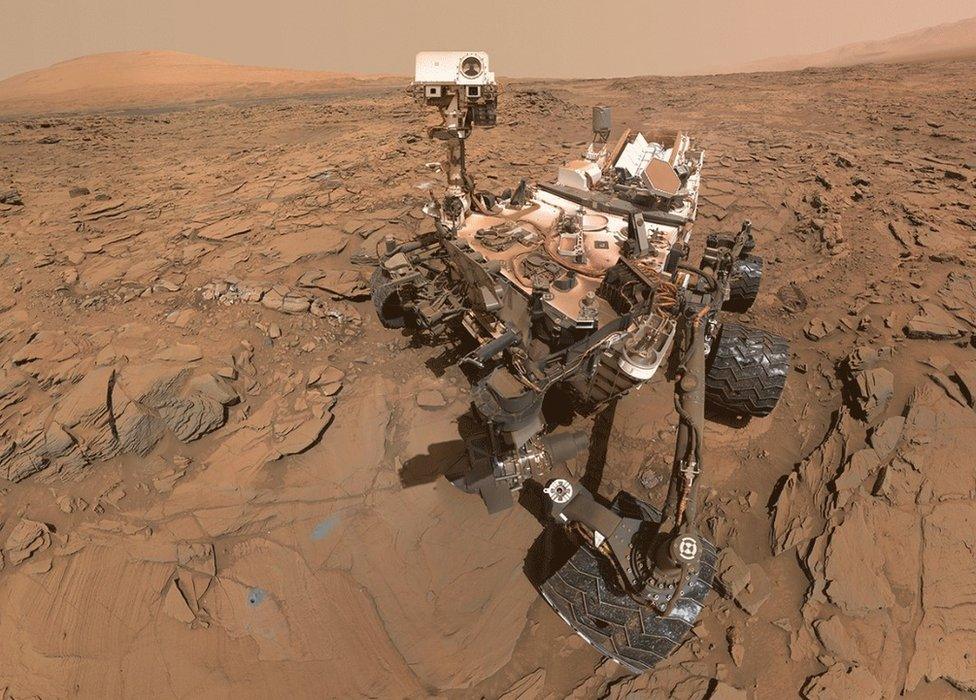 Curiosity selfie