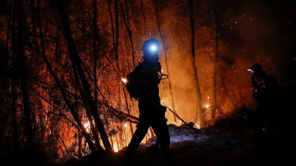 Fire fighting Greece wild fires, August 2021