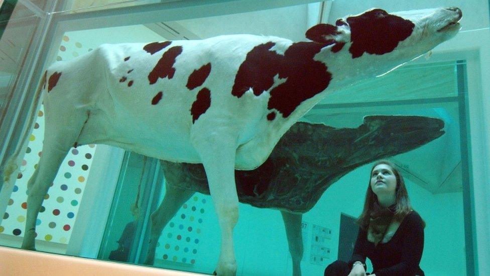 A woman looks up at Hirst's Mother and Child (Divided)