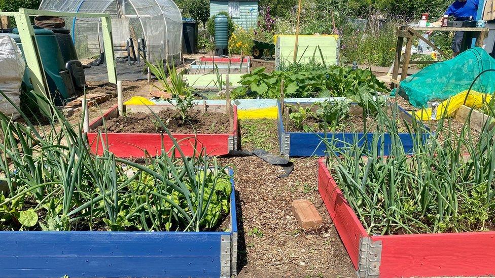 Talbot Road Allotments