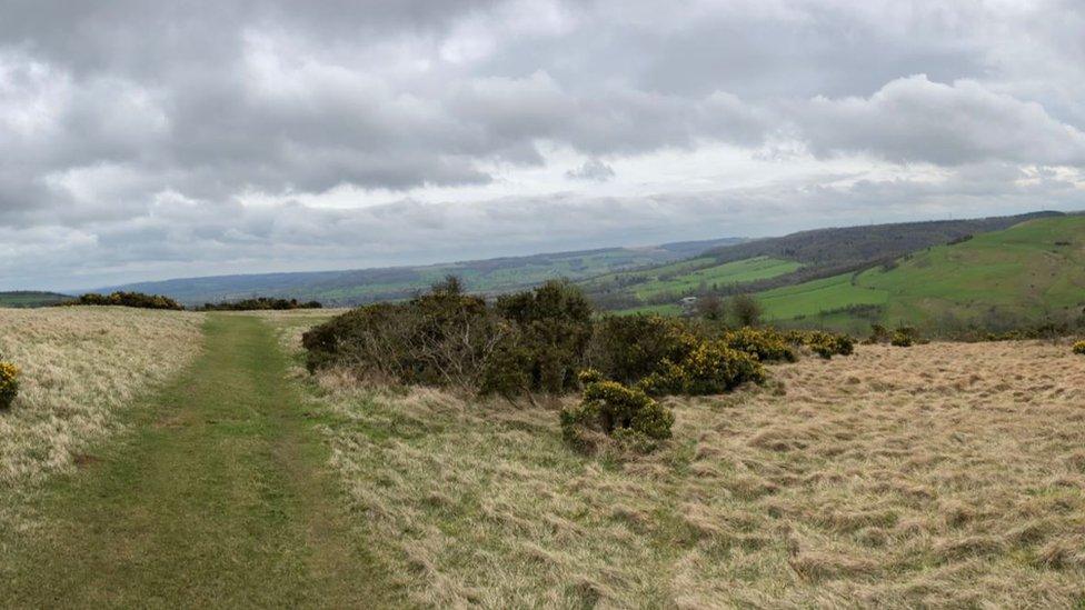 Cleeve Common