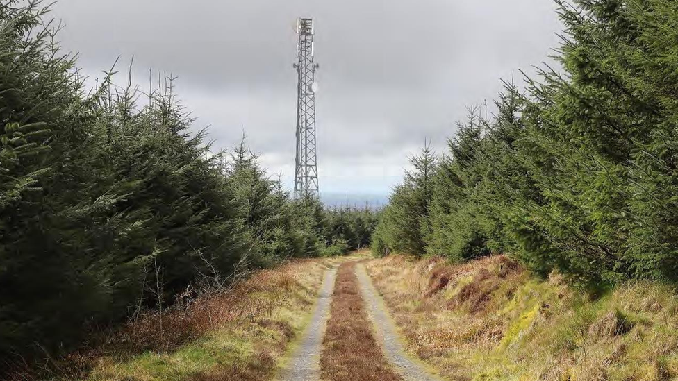 A mock up of the communications mast rising above trees