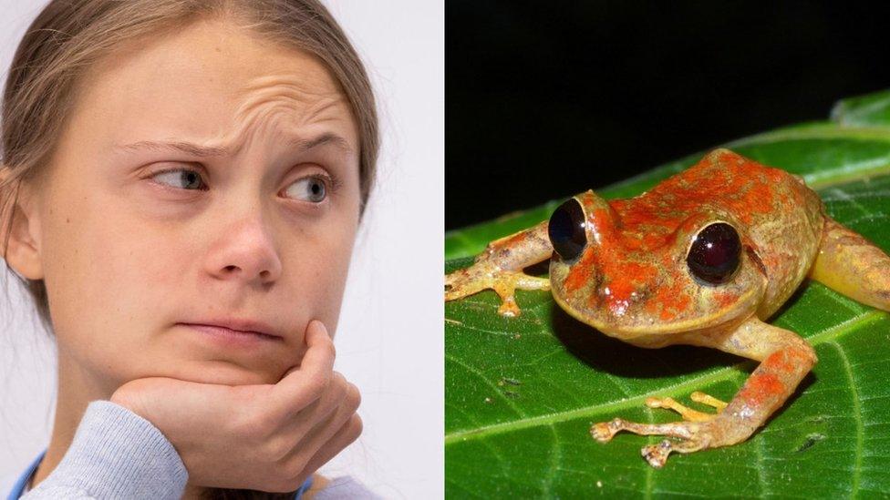 Greta Thunberg and Frog.