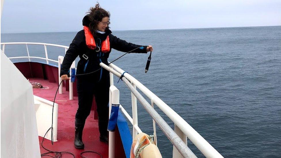 researcher dropping mic into sea