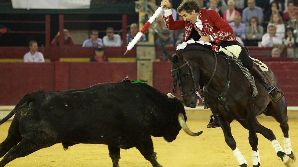 Spanish rejoneador Pablo Hermoso de Mendoza prepares to thrust a banderilla into a bull during the El Pilar Feria in Oct 2016