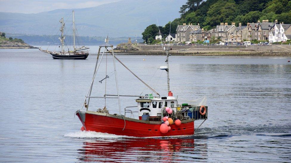 Fishing boat at Oban