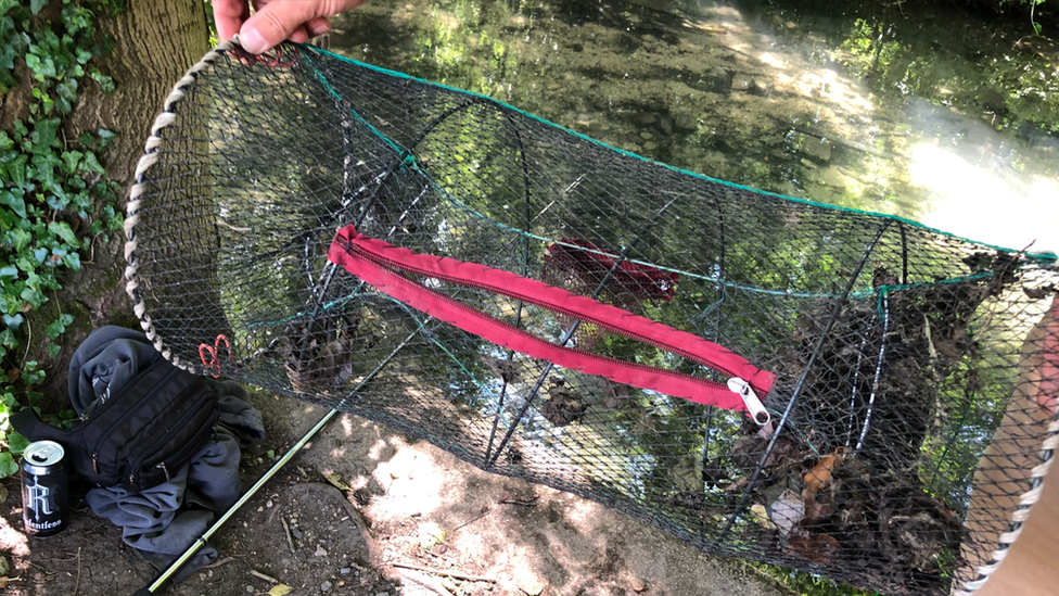 Crayfish trap