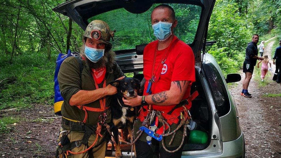 Freya the dog with rescuers