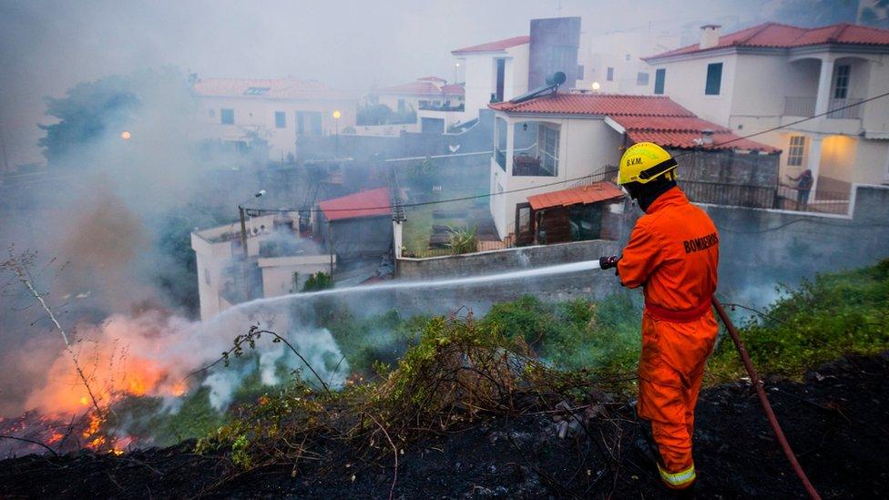 A fireman hoses a fire in a residential area of the city of Funchal, Madeira island, Portugal, 10 August 2016