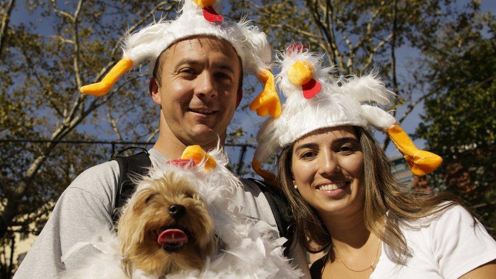 A man and woman wearing chickens on their heads hold a dog wearing a chicken suit.