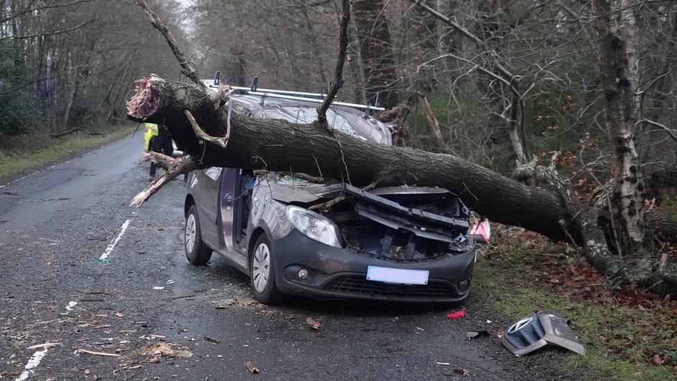 A van was crushed by a tree on the A22 in Ashdown forest