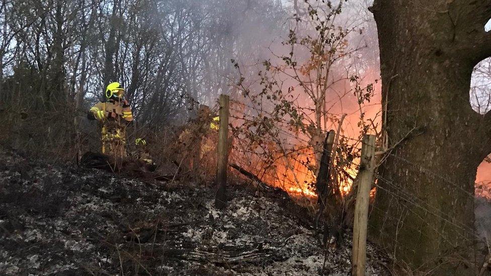 A grass fire burns near Pontypridd which fire crews had to put out