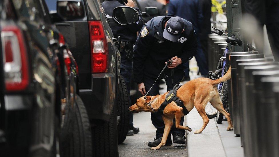 A police bomb sniffing dog is deployed in New York after an explosive device was found