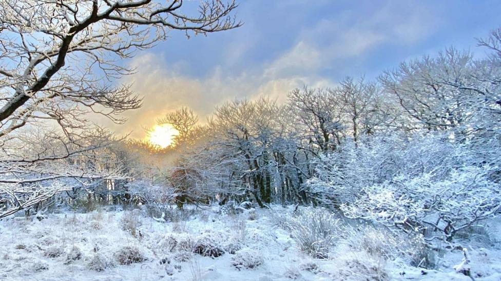 New ice warning for Cornwall as snow falls across South West - BBC News