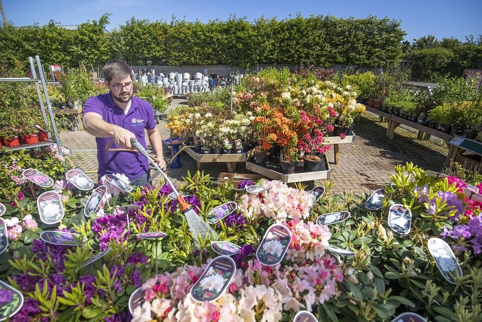 Garden centre in Edinburgh