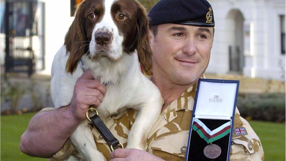 British Army dog Buster with his handler Sgt Danny Morgan wearing the PDSA Dickin Medal