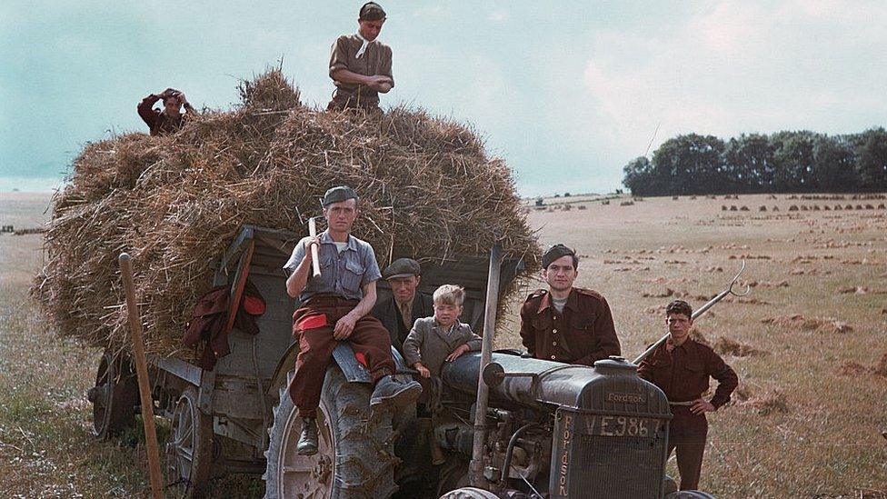 Working in the fields