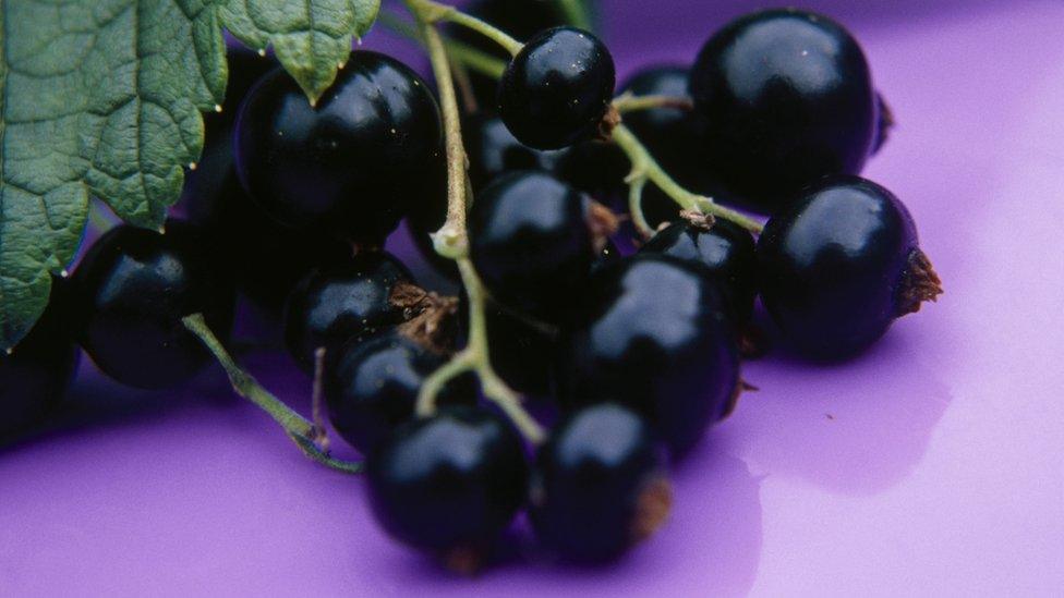 Blackcurrants