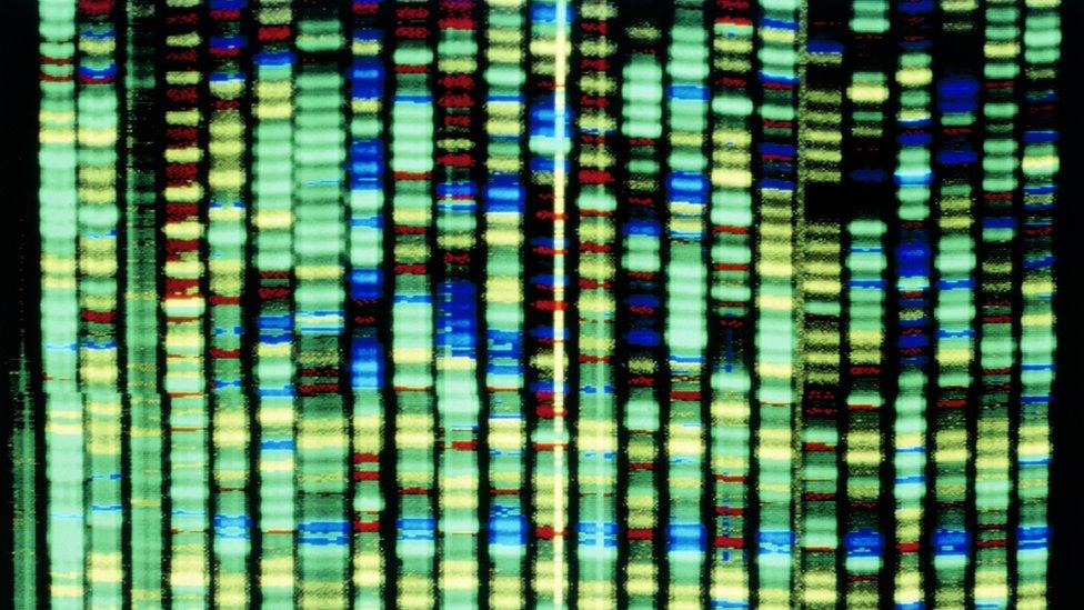 Computer sequence of DNA