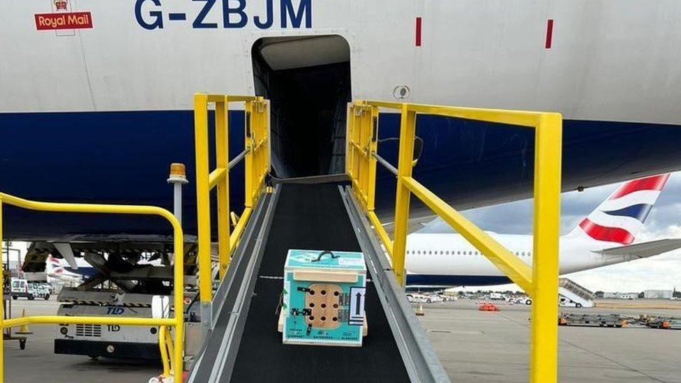 Bob's wooden crate being lowered off the plane at Heathrow