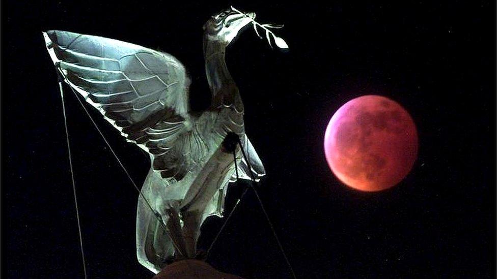 A Liver Bird statue