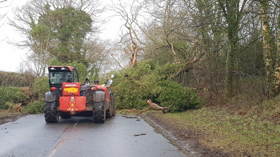 Farmers removing trees