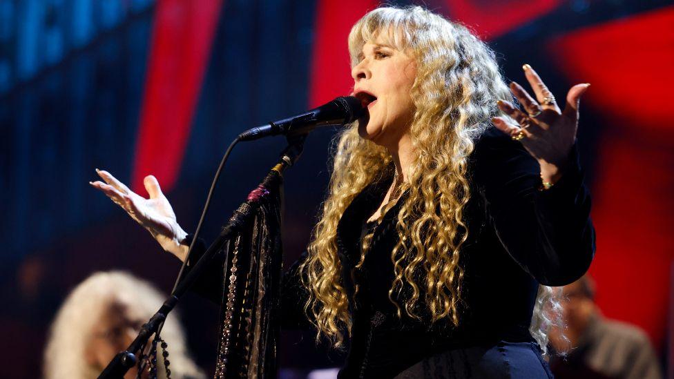 Stevie Nicks performs onstage during the FIREAID Benefit Concert for California Fire Relief at The Kia Forum on January 30, 2025 in Inglewood, California