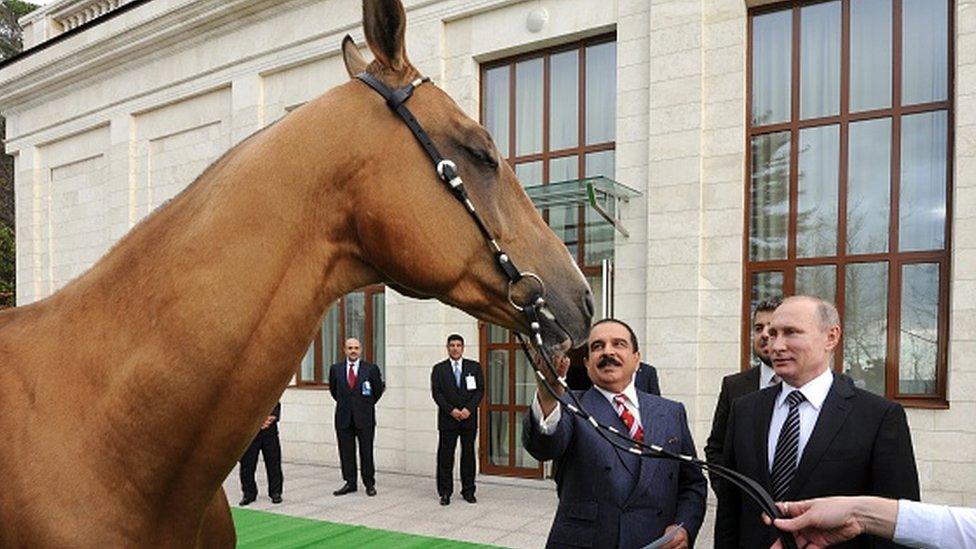 Russian President Vladimir Putin presents Bahrain's King Hamad bin Isa Al-Khalifa with an Akhal-Teke stallion named Khadzhibek in Sochi, on February 8, 2016.