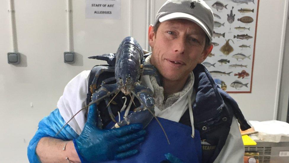 Tony McLean with the blue lobster on his shoulder